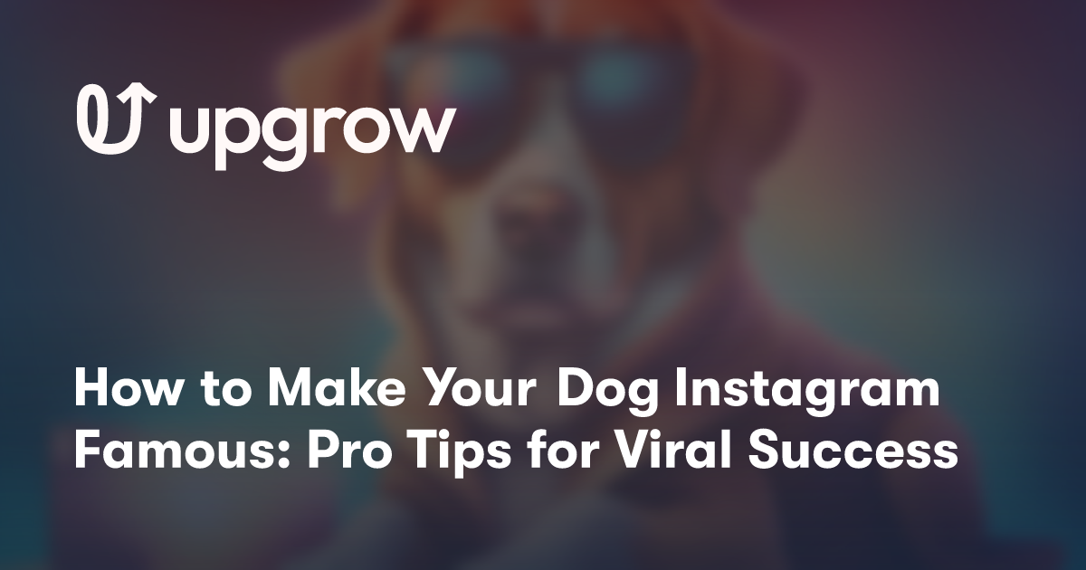 How to Make Your Dog Instagram Famous: Pro Tips for Viral Success