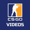 csgo.videoz's TikTok profile picture