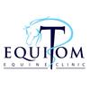 equitom's TikTok profile picture